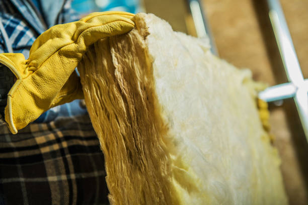 Best Spray Foam Insulation in Hughesville, MD