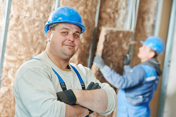 Best Geographic-Specific Insulation Services in Hughesville, MD